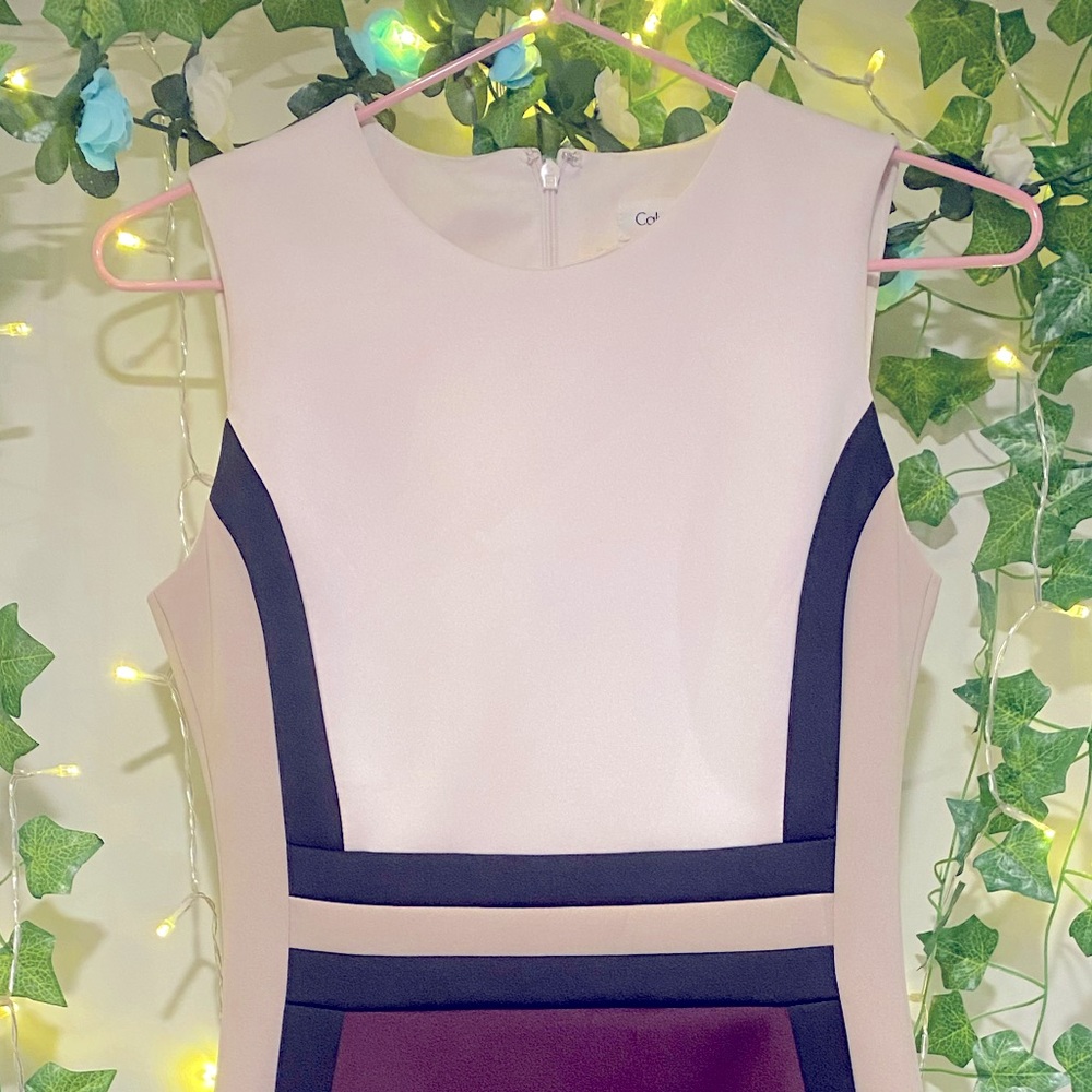 Calvin Klein Dress Size 2
